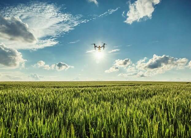 servicio drones empresas agricolas