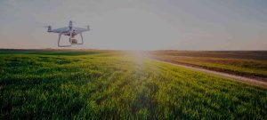 grabaciones drone agricultura
